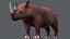 Rhino V01
