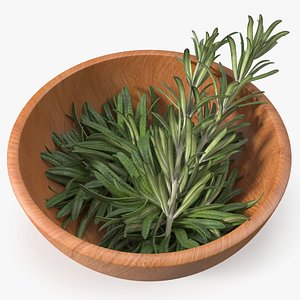 Bowl of Rosemary 3D