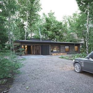 Modern Single-Family House in a Natural Setting 3D model