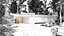 Maison individuelle moderne dans un cadre naturel