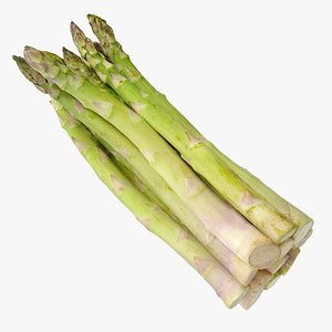 3D Asparagus