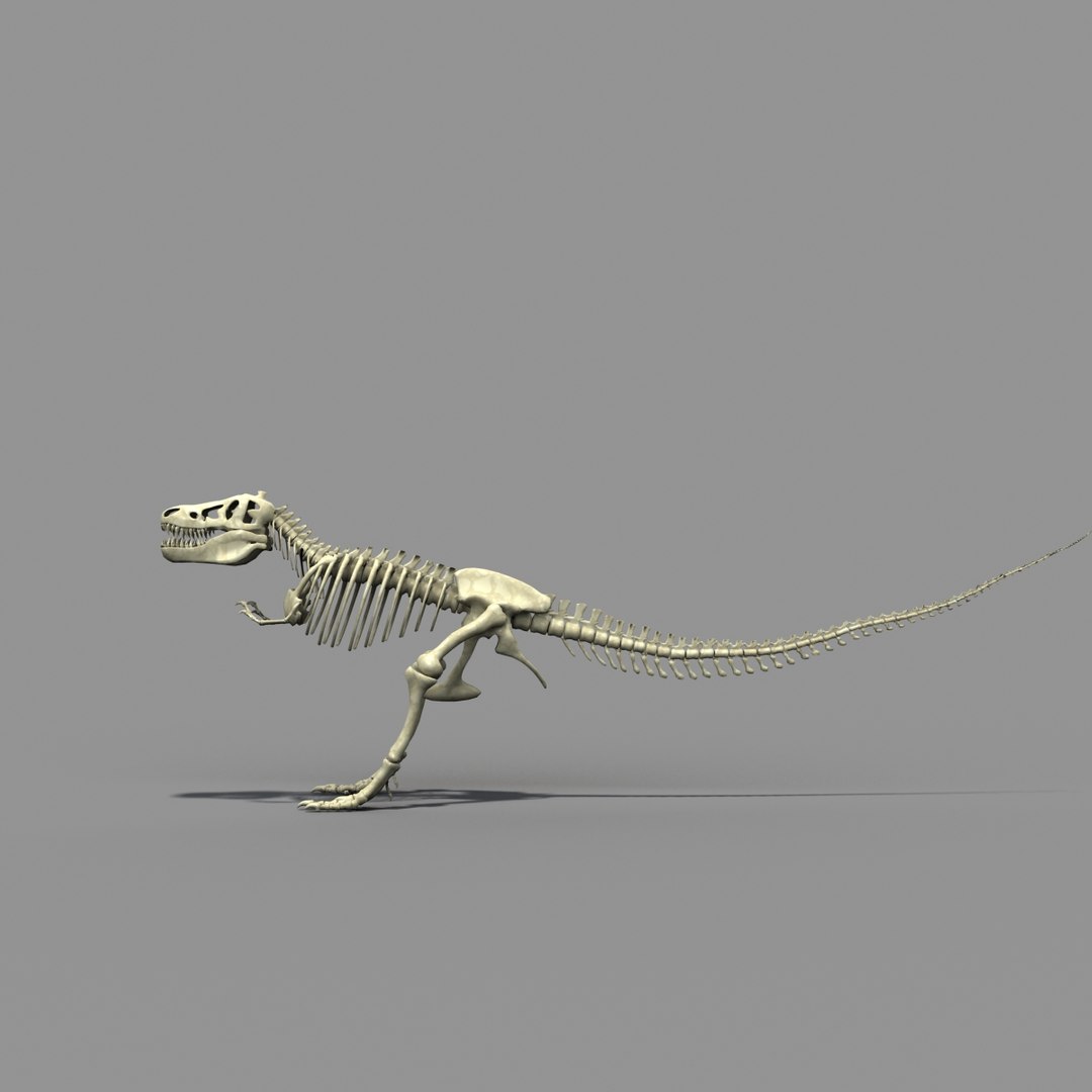 t-rex skeleton 3d model https://p.turbosquid.com/ts-thumb/MP/A2CH34/Iq9DKVkB/trex2hd1b/jpg/1354289981/1920x1080/fit_q87/933ec190a9a00c0c498d207b595d3ee2571ed2e9/trex2hd1b.jpg
