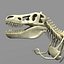 Dino T-Rex Skeleton