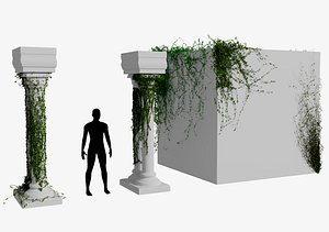Columns with ivy