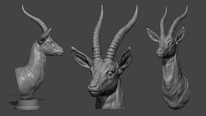 Thomsons Gazelle bust model