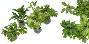 Collection plant vol 290 - blender model model