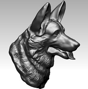 Shepherd Dog Head
