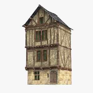 Buildings and shops in ancient towns 3D
