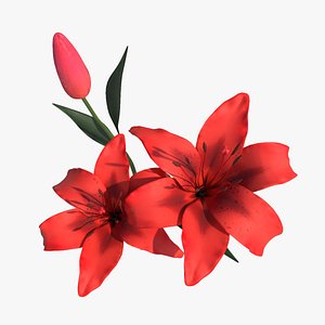 Red Lilies 3D