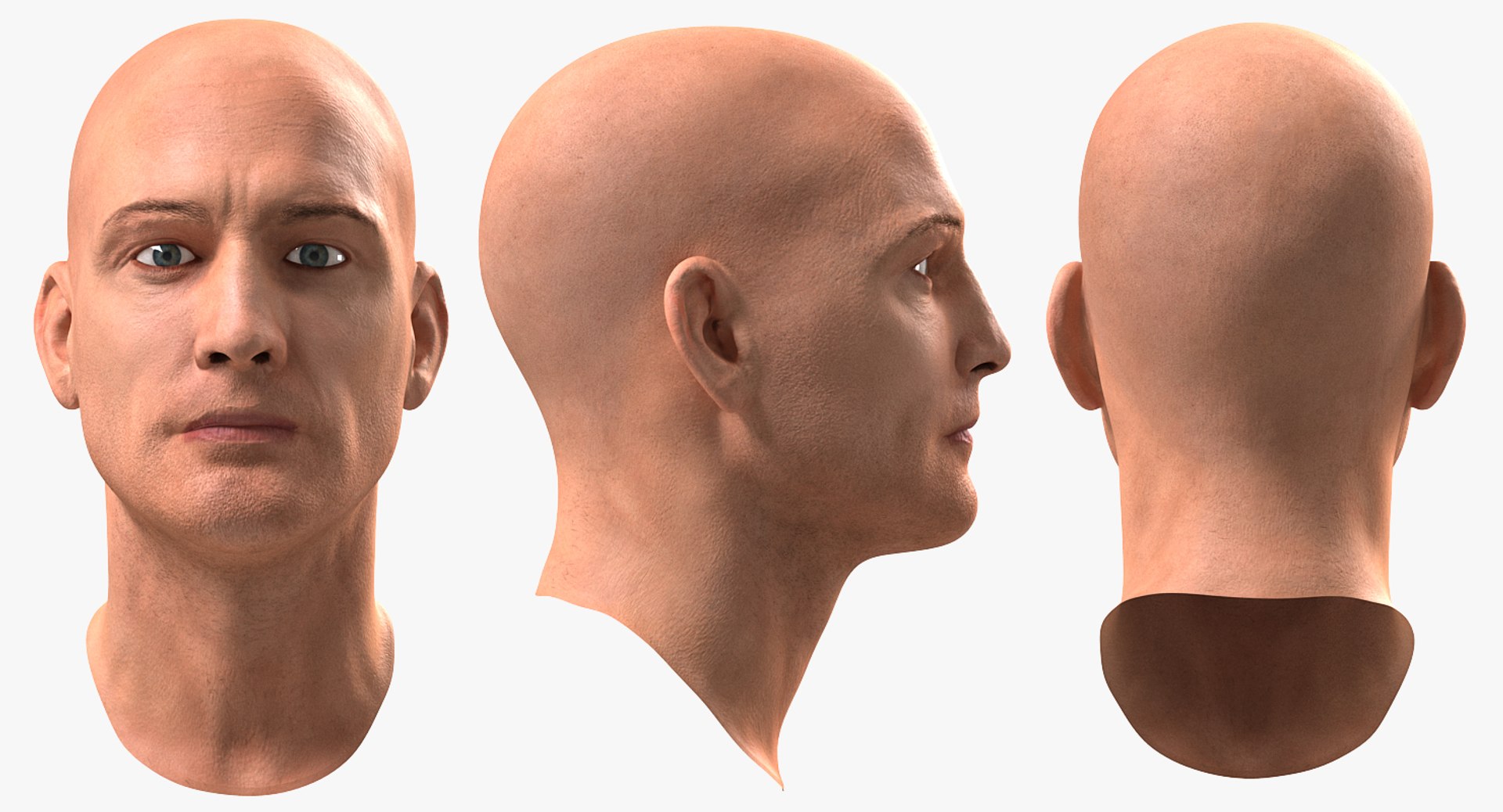 3D male head 6 rigged model https://p.turbosquid.com/ts-thumb/MP/gK9RJO/HCUICsNY/malehead6rigged3dsmodel002/jpg/1503985305/1920x1080/fit_q87/1aa1a097faa6942e33d4f7a554455d41bd4af72c/malehead6rigged3dsmodel002.jpg