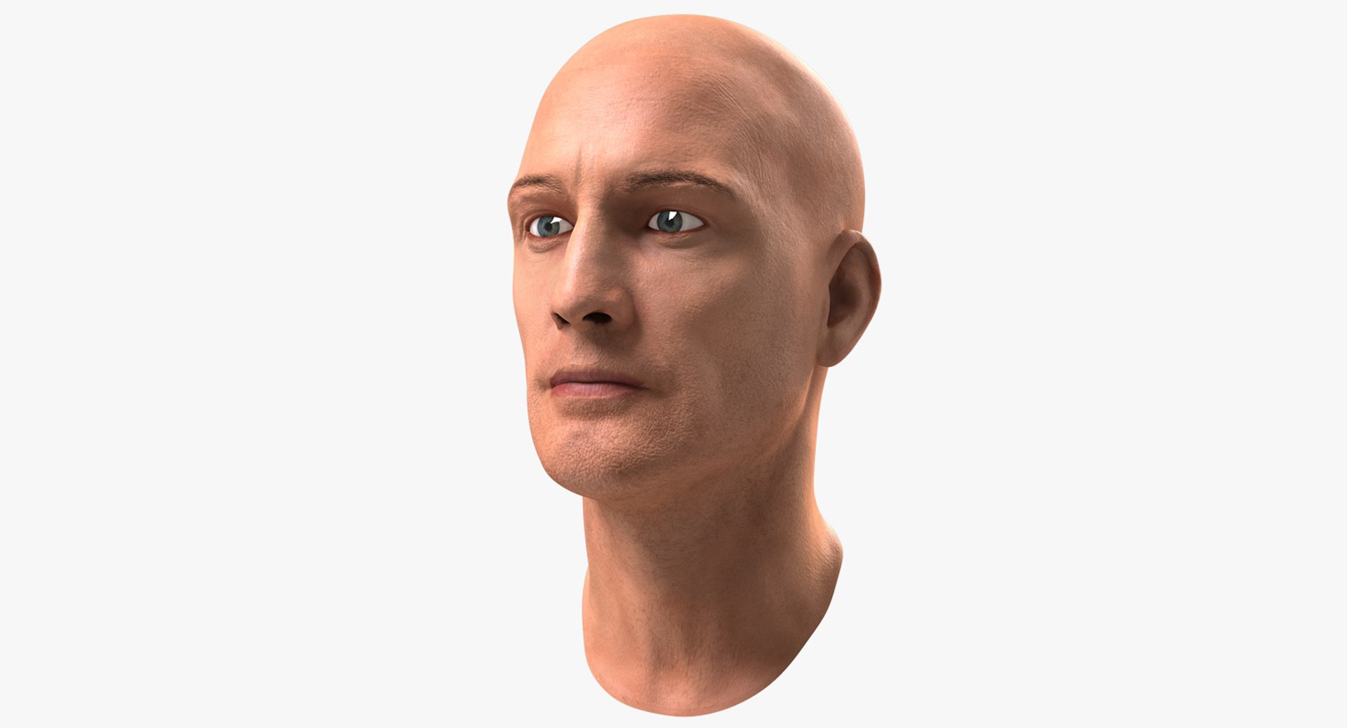 Male Head 6 Rigged 3D model preview