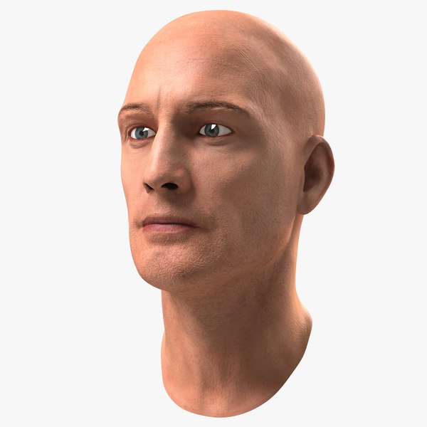 3D male head 6 rigged model