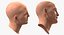 Tête Mâle 6 Rigged