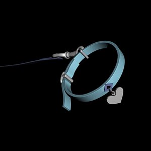 collar and leash.max