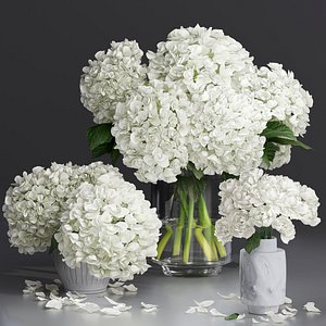 Hydrangea and peony Bouquet Flower Vase decorative set 3D model