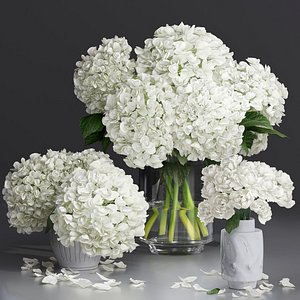 Hydrangea and peony Bouquet Flower Vase decorative set