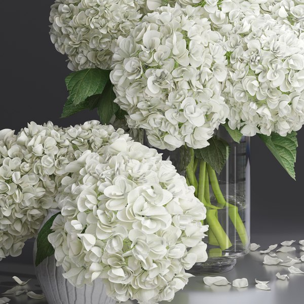 modelo 3d Conjunto decorativo de jarrón de flores de ramo de hortensias y  peonías - TurboSquid 1737468