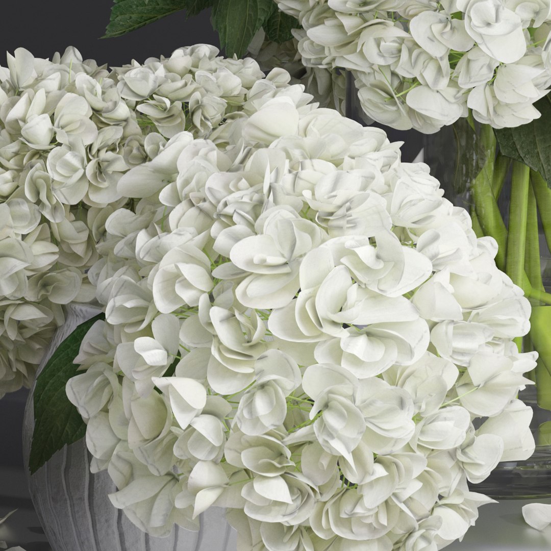 Hydrangea and peony Bouquet Flower Vase decorative set 3D model https://p.turbosquid.com/ts-thumb/MP/mlSdZx/EF/5/jpg/1621954673/1920x1080/fit_q87/d414209e5c4ac871a4211922f35623e191a0a111/5.jpg