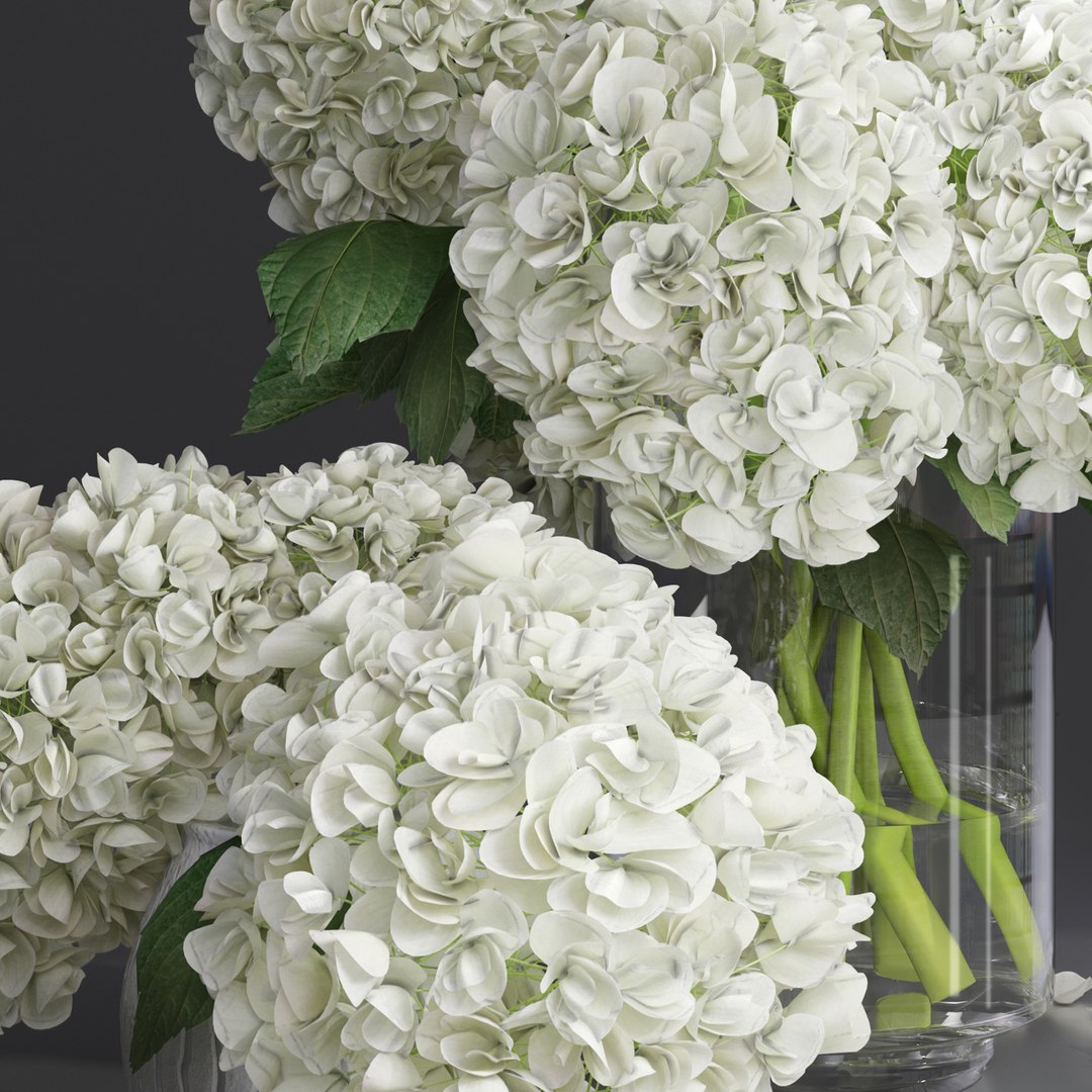 Hydrangea and peony Bouquet Flower Vase decorative set 3D model https://p.turbosquid.com/ts-thumb/MP/mlSdZx/G2/4/jpg/1621954665/1920x1080/fit_q87/b315b56132d13990ae71495f6f4fc5fd4c081c58/4.jpg