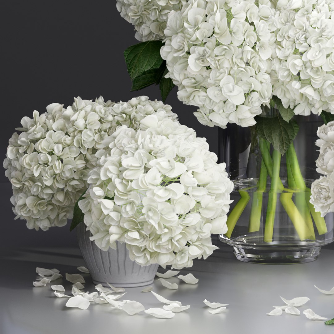 Hydrangea and peony Bouquet Flower Vase decorative set 3D model https://p.turbosquid.com/ts-thumb/MP/mlSdZx/NF/7/jpg/1621954667/1920x1080/fit_q87/6c6a910270821a56463f4c1f03dfdf6870def35e/7.jpg