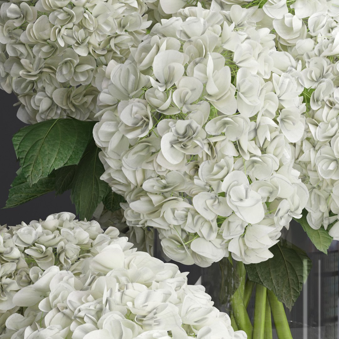 Hydrangea and peony Bouquet Flower Vase decorative set 3D model https://p.turbosquid.com/ts-thumb/MP/mlSdZx/uC/6/jpg/1621954665/1920x1080/fit_q87/e8262471805bcc097167ccc5bc7a73eca75be396/6.jpg