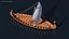 Longship Sail