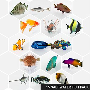 15 Saltwater Fish Pack - Animal Collection