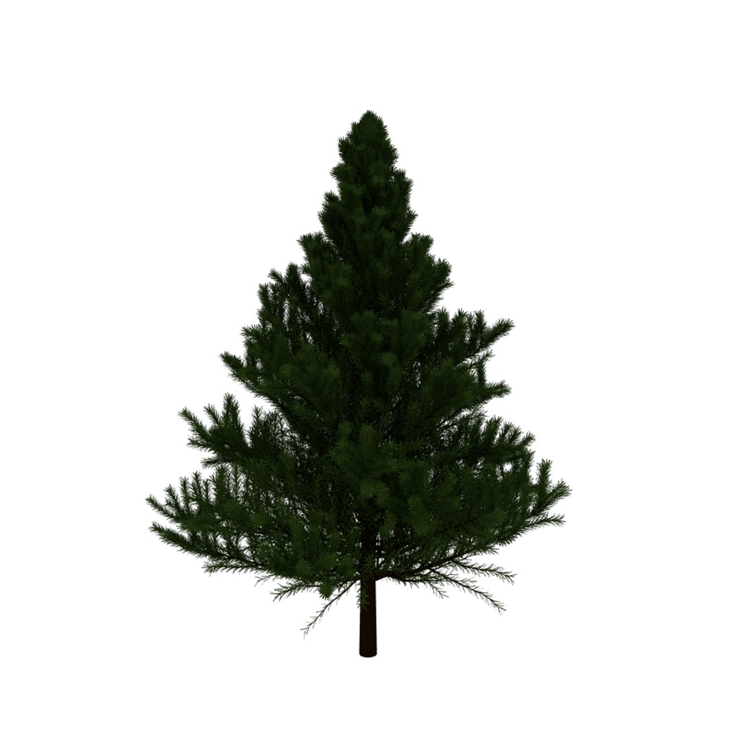 evergreen tree 3d obj