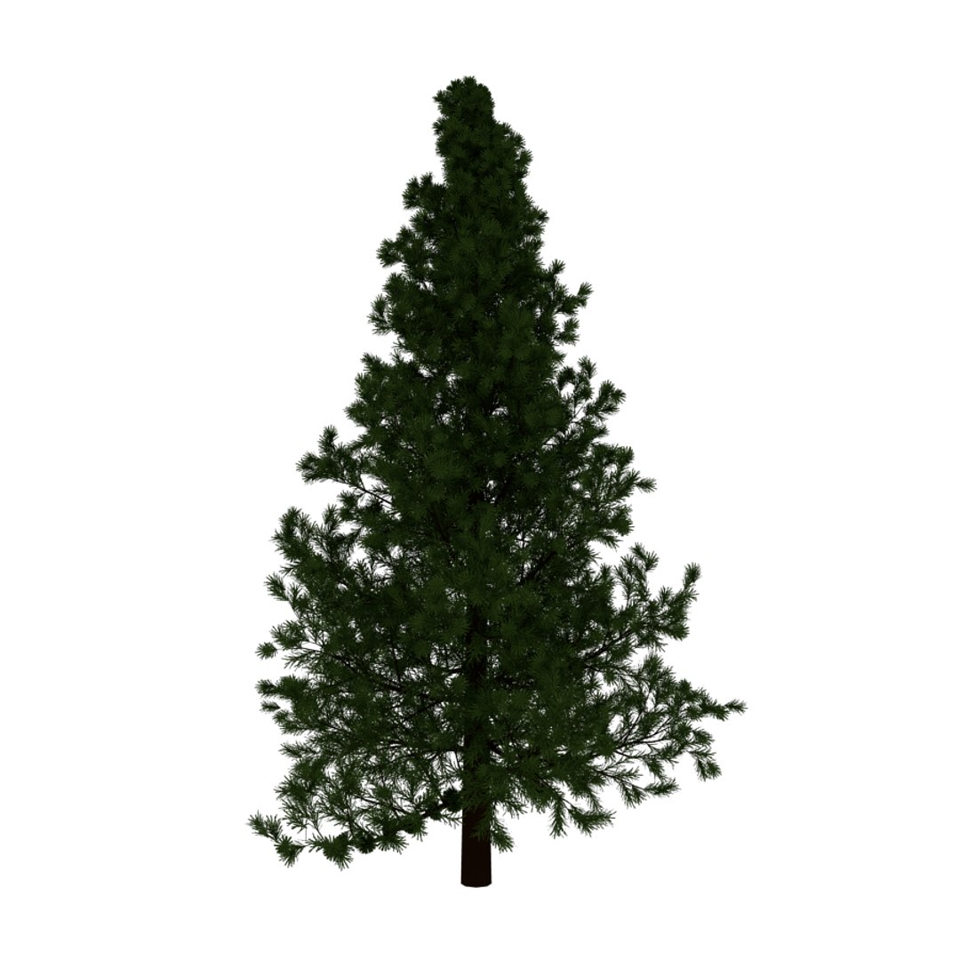 evergreen tree 3d obj