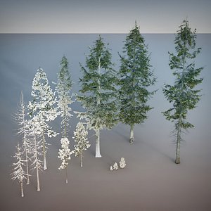 Fir Trees 13 plus 13 photoscanned