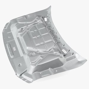 Pickup Truck Hood Disassembled