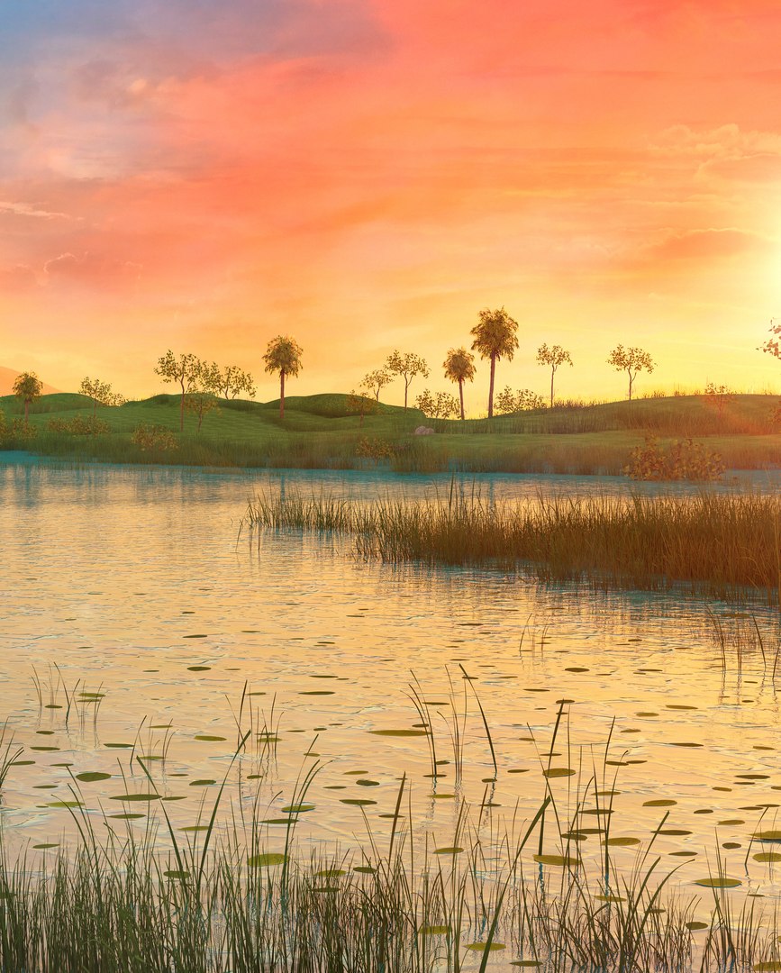3D wetlands sunset florida s https://p.turbosquid.com/ts-thumb/MQ/EyDz3q/T4bzBPrf/florida4/jpg/1529002477/1920x1080/fit_q87/295ad702ead92a347b99ac89fba2b2343f0433c1/florida4.jpg