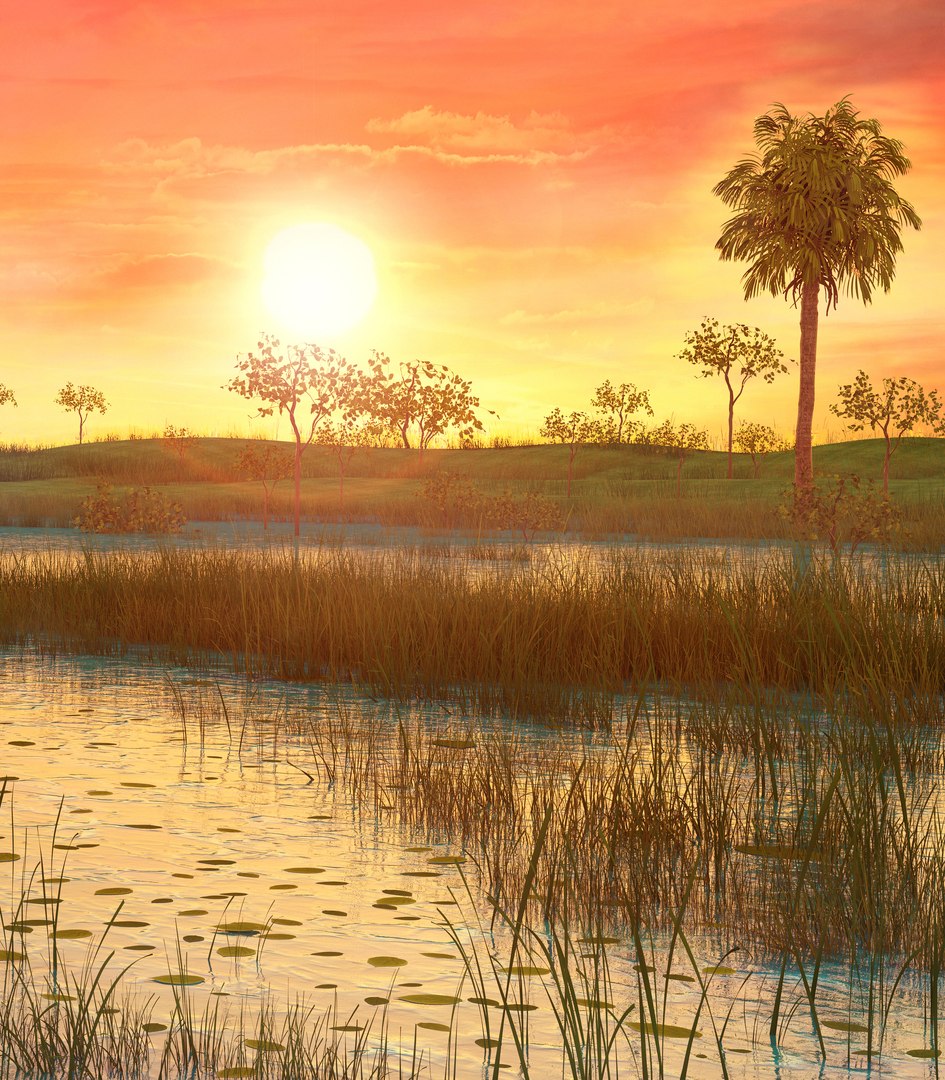 3D wetlands sunset florida s https://p.turbosquid.com/ts-thumb/MQ/EyDz3q/qIznR353/florida3/jpg/1529002477/1920x1080/fit_q87/9442799615210159e3dae3982db94bcef498de9c/florida3.jpg