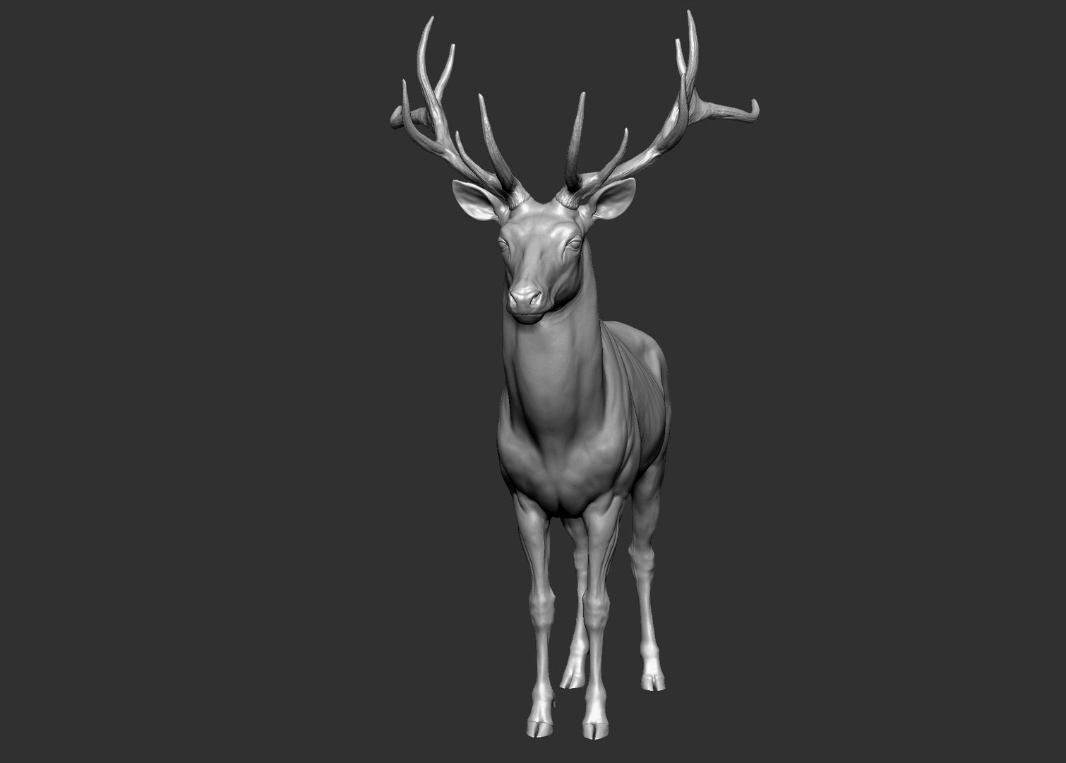 Red Deer Stag Elk VFX MUSCLE SIMULATION 3D https://p.turbosquid.com/ts-thumb/MQ/OL6UZ4/30/15.bmp2860181491aa40b086f27d8a61969c07zoom/jpg/1624823684/1920x1080/fit_q87/afec61db44cf756d7a00feb926caeabe7235179b/15.bmp2860181491aa40b086f27d8a61969c07zoom.jpg