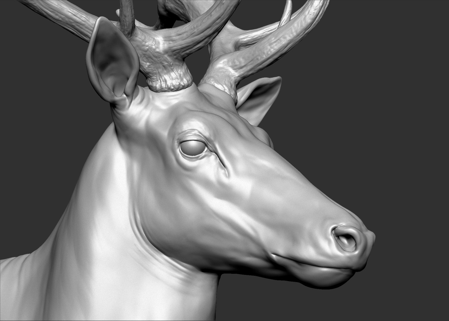 Red Deer Stag Elk VFX MUSCLE SIMULATION 3D https://p.turbosquid.com/ts-thumb/MQ/OL6UZ4/3B/8.bmp840e9c5a4dc44b86a015e8568e019c20zoom/jpg/1624823686/1920x1080/fit_q87/f9fa965be95248e30dbb3264706daab8181b6e8b/8.bmp840e9c5a4dc44b86a015e8568e019c20zoom.jpg
