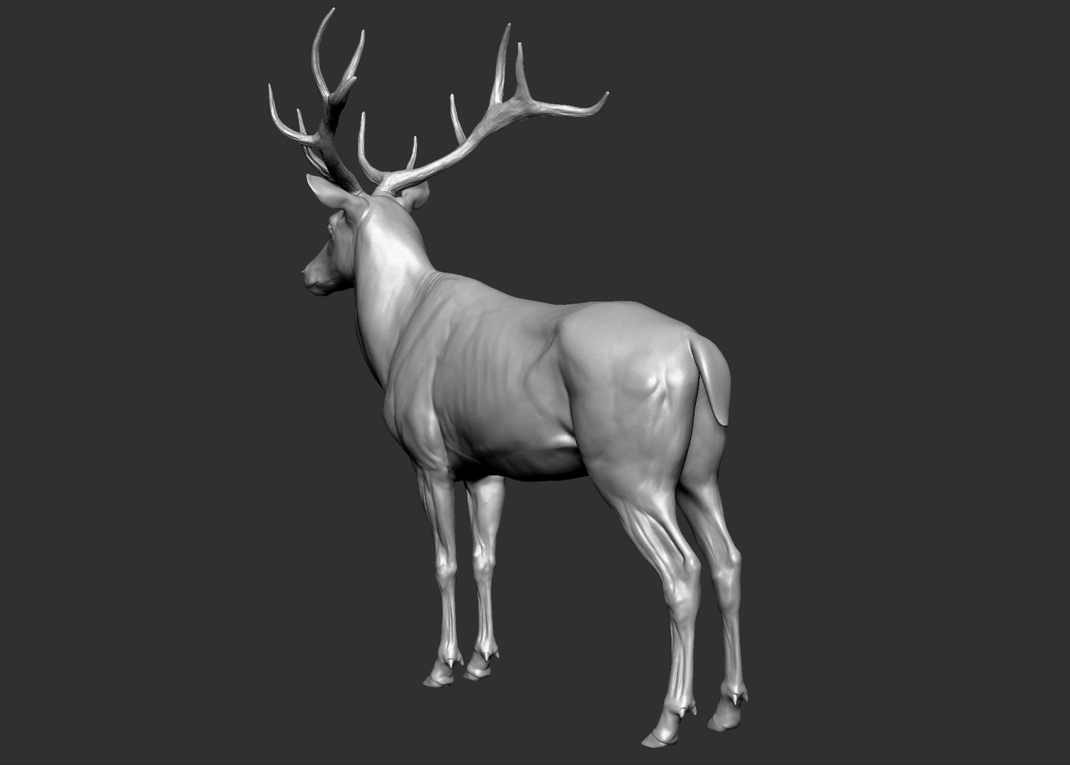 Red Deer Stag Elk VFX MUSCLE SIMULATION 3D https://p.turbosquid.com/ts-thumb/MQ/OL6UZ4/6g/17.bmp0464c6802c7240b9b45d56d45f192d20zoom/jpg/1624823683/1920x1080/fit_q87/14b9424903324d16815e7b1b4caeefe90adb165a/17.bmp0464c6802c7240b9b45d56d45f192d20zoom.jpg