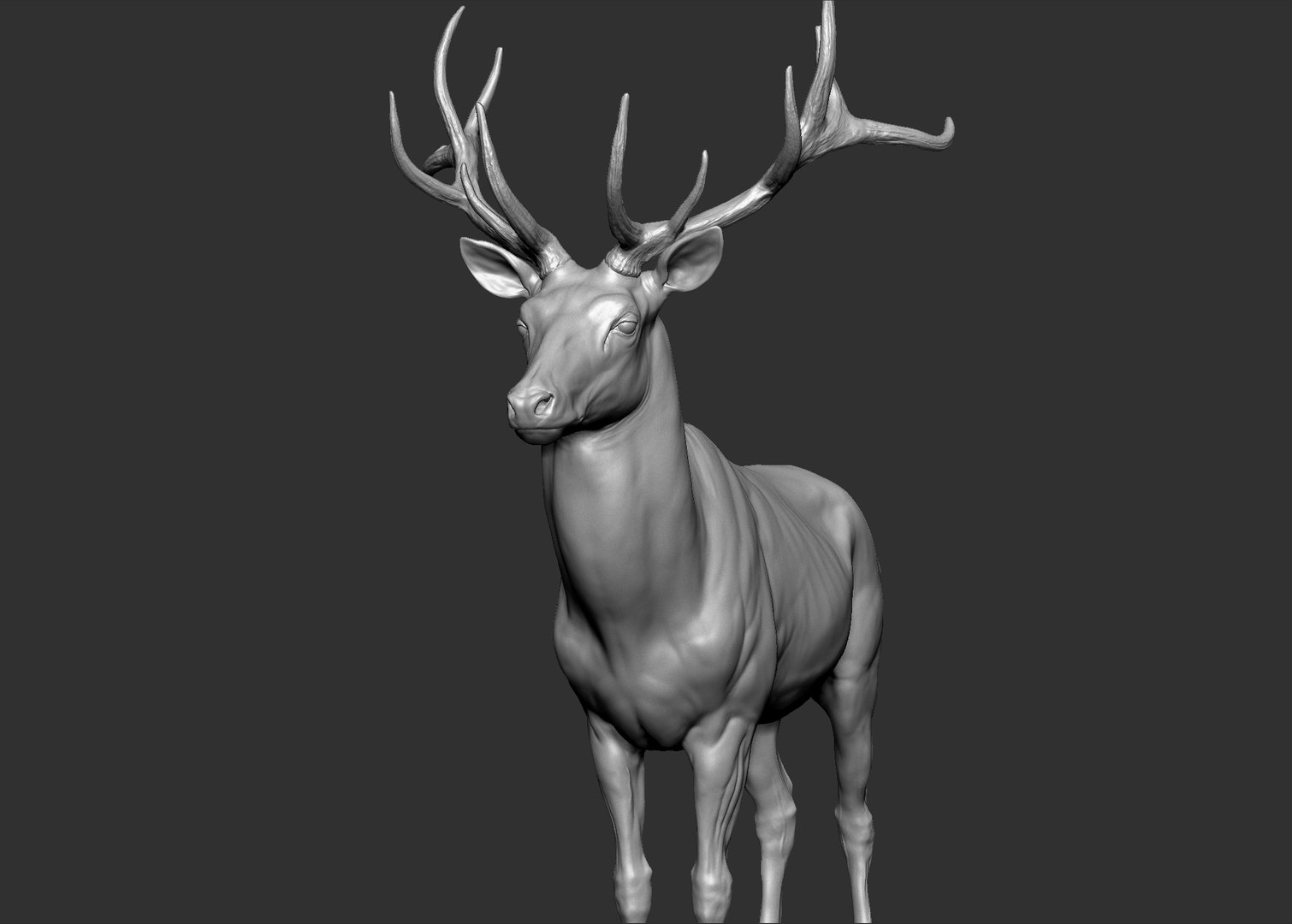 Red Deer Stag Elk VFX MUSCLE SIMULATION 3D https://p.turbosquid.com/ts-thumb/MQ/OL6UZ4/8B/11.bmp6a98835e83b243f8841566fd689ace42zoom/jpg/1624823684/1920x1080/fit_q87/2748cc4c53f3077c8531c992e935a10bec4871a1/11.bmp6a98835e83b243f8841566fd689ace42zoom.jpg