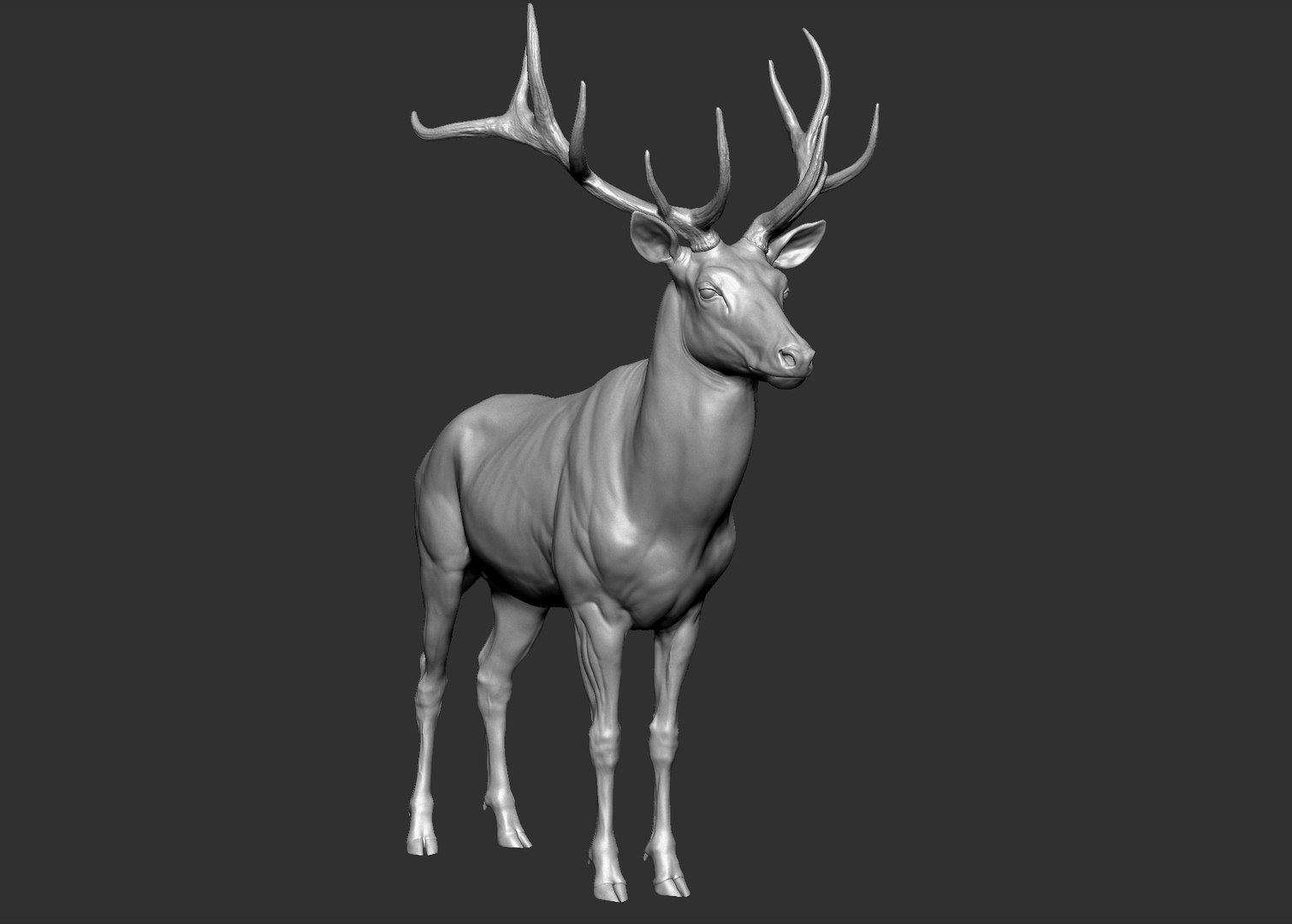 Red Deer Stag Elk VFX MUSCLE SIMULATION 3D https://p.turbosquid.com/ts-thumb/MQ/OL6UZ4/9V/14.bmp2ef7e7bfc8074f3ea0c80345821a59d1zoom/jpg/1624823683/1920x1080/fit_q87/53d004434f820d2ac9f9d51b588f3e6ea9f0a88f/14.bmp2ef7e7bfc8074f3ea0c80345821a59d1zoom.jpg