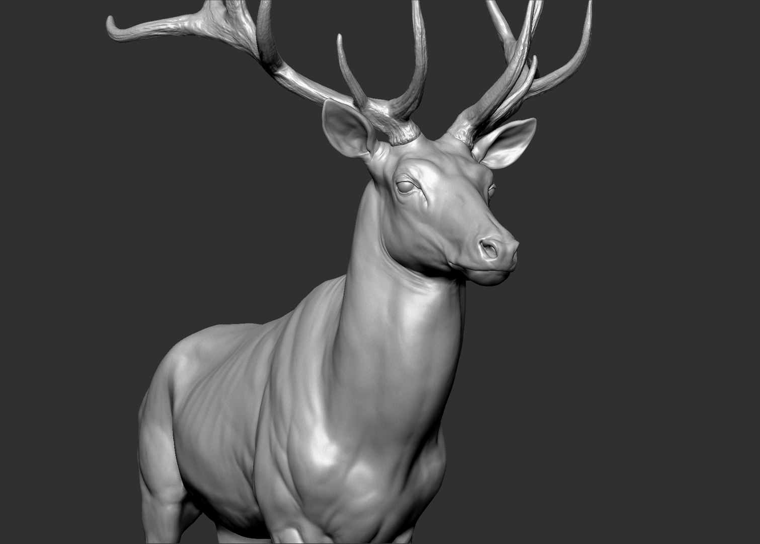 Red Deer Stag Elk VFX MUSCLE SIMULATION 3D https://p.turbosquid.com/ts-thumb/MQ/OL6UZ4/RW/19.bmp83b74d0c0ebe4daaaa89c2ef809fe117zoom/jpg/1624823686/1920x1080/fit_q87/17a0cd3973995a36be8fe1f6262c9867e37afc14/19.bmp83b74d0c0ebe4daaaa89c2ef809fe117zoom.jpg