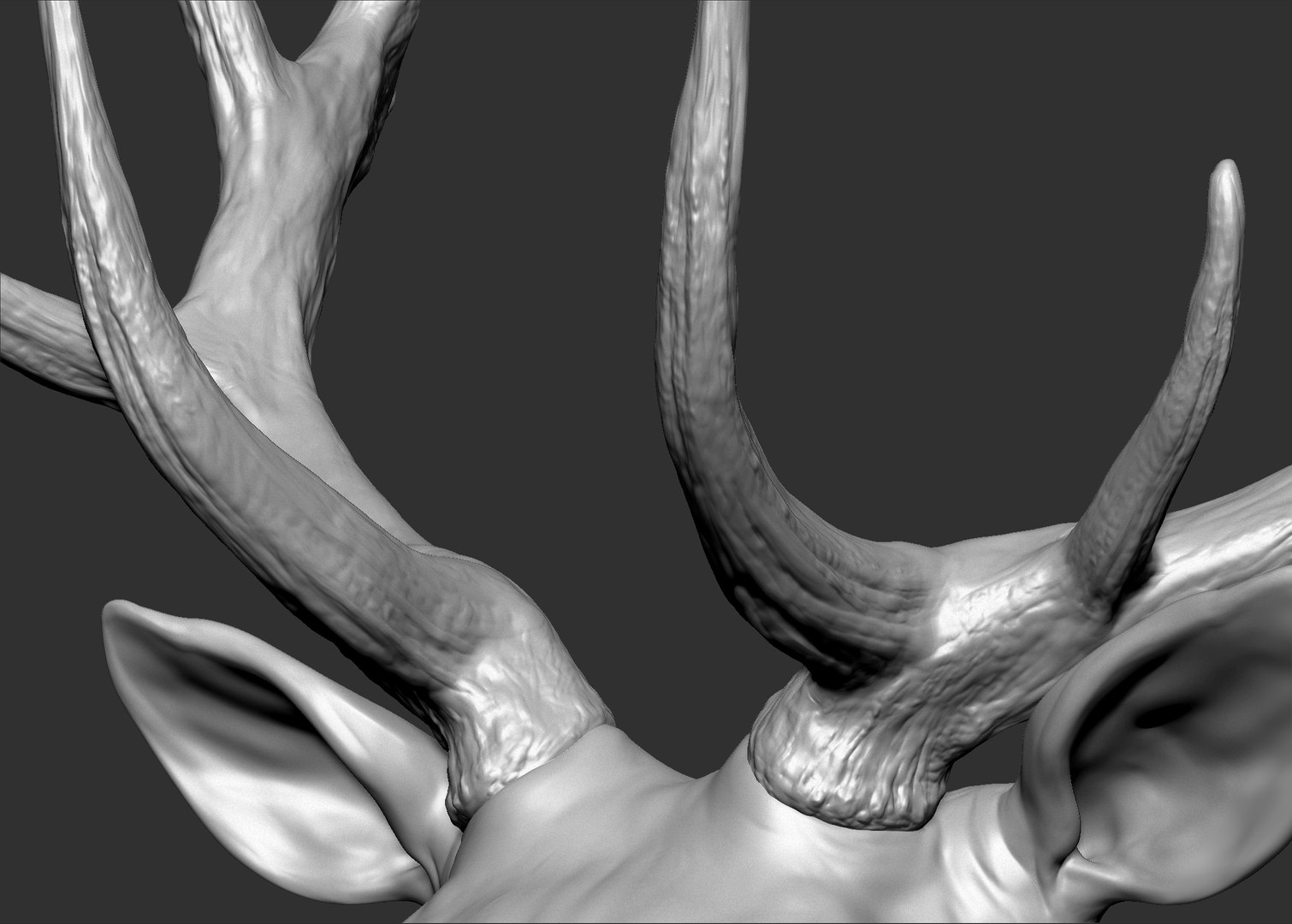 Red Deer Stag Elk VFX MUSCLE SIMULATION 3D https://p.turbosquid.com/ts-thumb/MQ/OL6UZ4/WI/82.bmp19a322f14a6043248e3429cae4465884zoom/jpg/1624823684/1920x1080/fit_q87/b20638410c20c6b245d65b00cfa835fa9bbefdf7/82.bmp19a322f14a6043248e3429cae4465884zoom.jpg