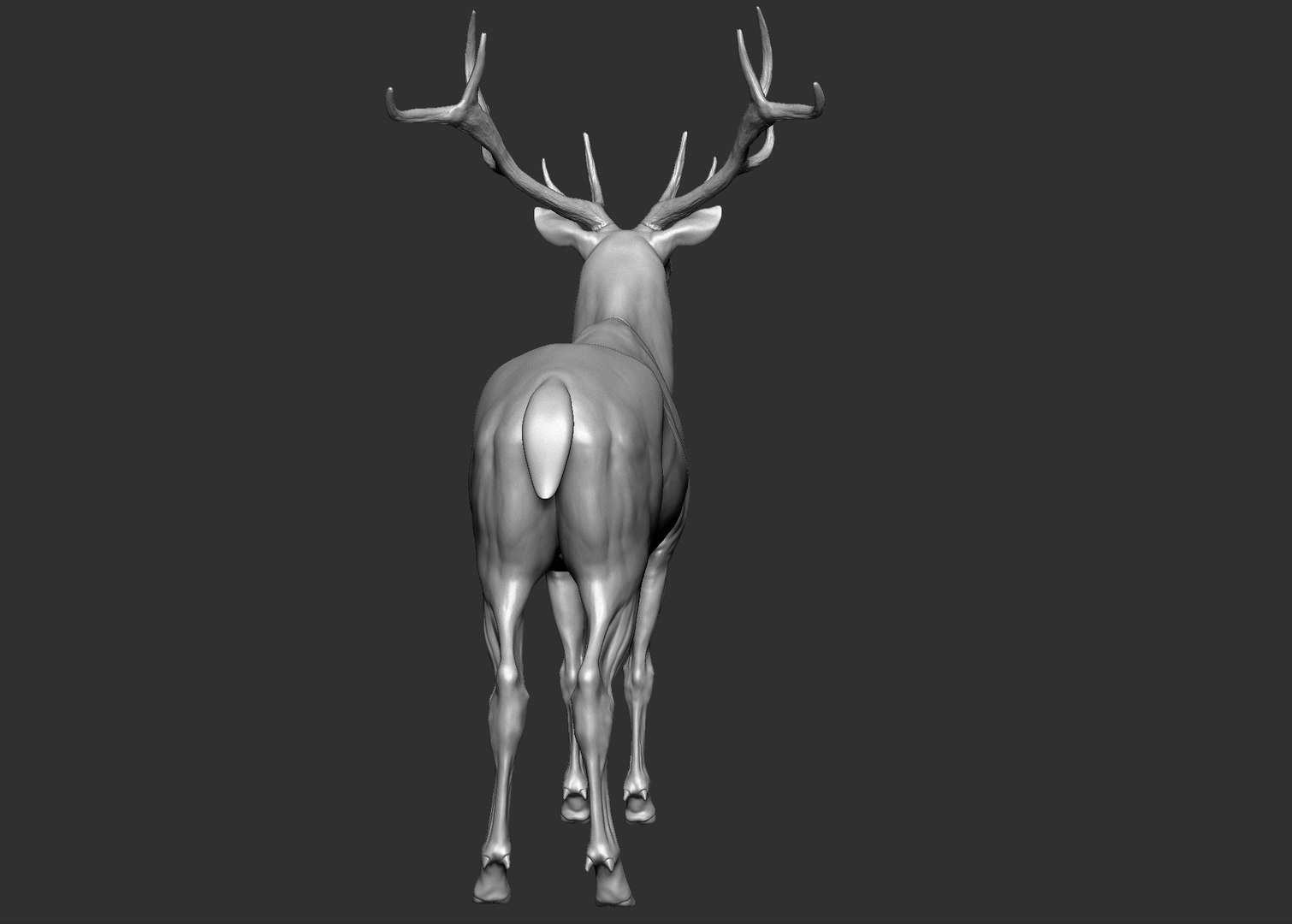 Red Deer Stag Elk VFX MUSCLE SIMULATION 3D https://p.turbosquid.com/ts-thumb/MQ/OL6UZ4/WO/18.bmp6d99ec8213734e039682458ef02adbdbzoom/jpg/1624823685/1920x1080/fit_q87/7b0bc068f1bb229ecd519e10a1b40e0ca5cc93f9/18.bmp6d99ec8213734e039682458ef02adbdbzoom.jpg