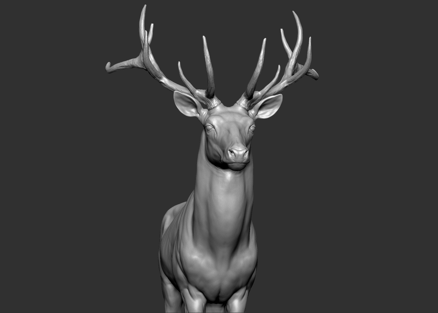 Red Deer Stag Elk VFX MUSCLE SIMULATION 3D - TurboSquid 1752018
