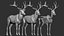 Red Deer Stag Elk VFX MUSCLE SIMULATION 3D