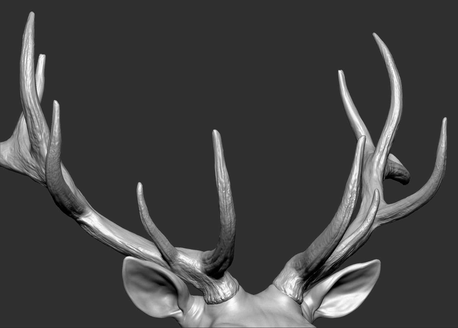 Red Deer Stag Elk VFX MUSCLE SIMULATION 3D https://p.turbosquid.com/ts-thumb/MQ/OL6UZ4/mG/83.bmpeffc116958e64d8ba0ba4e9b8300e7b4zoom/jpg/1624823684/1920x1080/fit_q87/666708a38e72b66926b2ab341c144efbb7538cea/83.bmpeffc116958e64d8ba0ba4e9b8300e7b4zoom.jpg