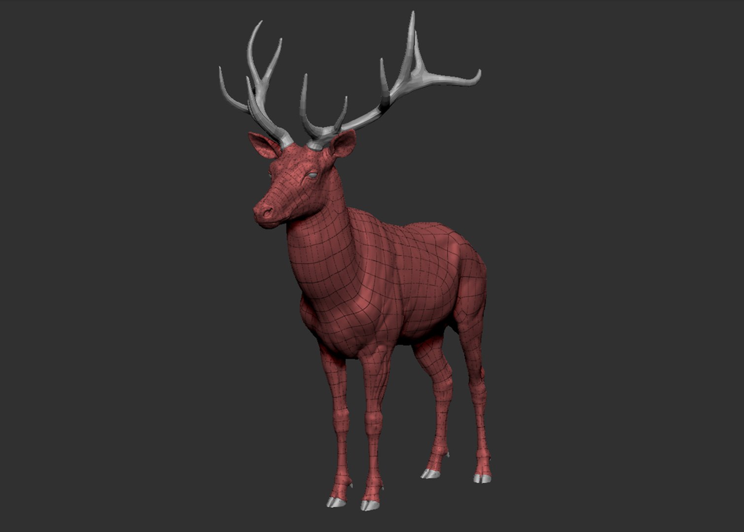 Red Deer Stag Elk VFX MUSCLE SIMULATION 3D https://p.turbosquid.com/ts-thumb/MQ/OL6UZ4/ou/5.bmpb6e07e02613b44e6b2843398718876a6defaulthq/jpg/1624823765/1920x1080/fit_q87/e14c656d569a185c9e26a6a4e9c04914875f885f/5.bmpb6e07e02613b44e6b2843398718876a6defaulthq.jpg
