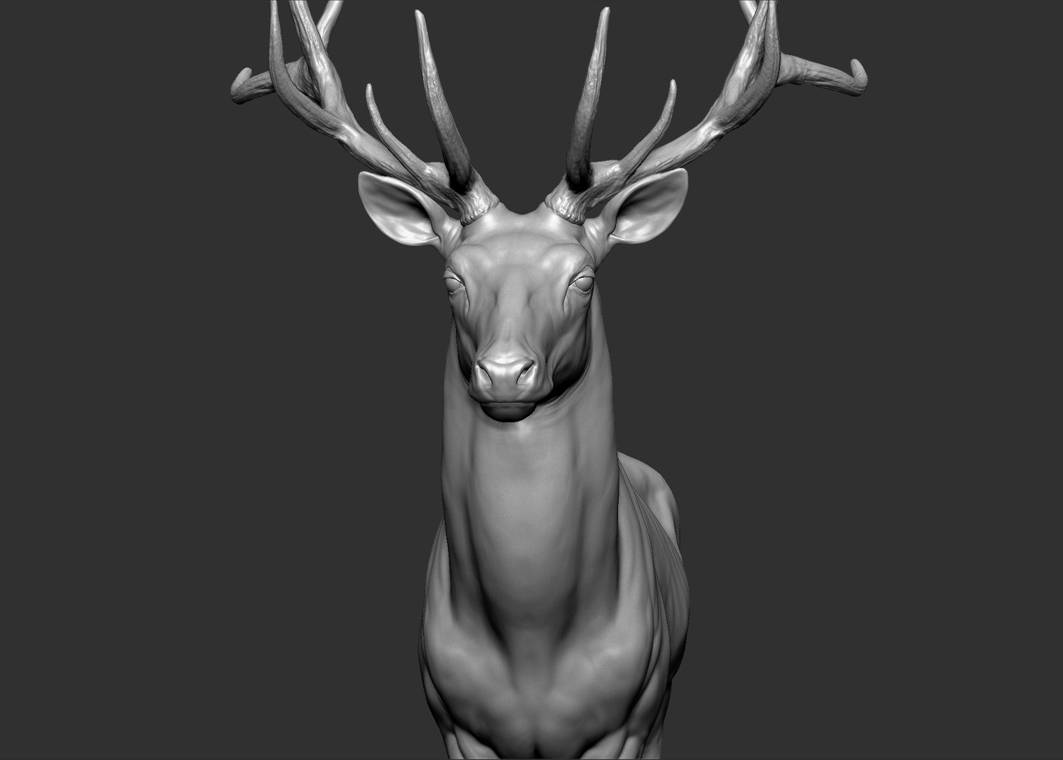 Red Deer Stag Elk VFX MUSCLE SIMULATION 3D https://p.turbosquid.com/ts-thumb/MQ/OL6UZ4/uR/12.bmp7b6d4a1ebb2e402baf438fd175660fcezoom/jpg/1624823682/1920x1080/fit_q87/e5176ffaf69a60d1cfe5095e97e2bef01a97b1ca/12.bmp7b6d4a1ebb2e402baf438fd175660fcezoom.jpg