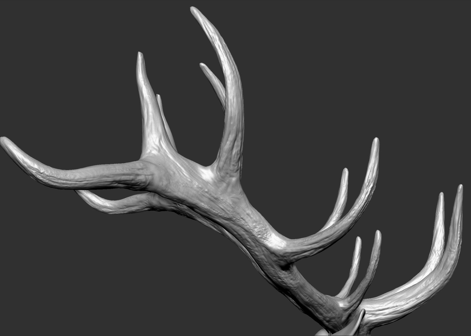 Red Deer Stag Elk VFX MUSCLE SIMULATION 3D https://p.turbosquid.com/ts-thumb/MQ/OL6UZ4/vO/81.bmpa0bd1ef4ed464149b6632f4a7d0ce4cczoom/jpg/1624823686/1920x1080/fit_q87/c38317dbc55be77dfa7d8efe3e0dabaa92b46259/81.bmpa0bd1ef4ed464149b6632f4a7d0ce4cczoom.jpg