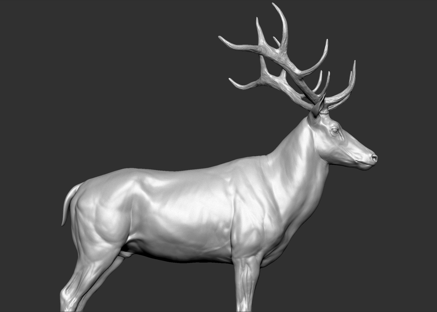 Red Deer Stag Elk VFX MUSCLE SIMULATION 3D https://p.turbosquid.com/ts-thumb/MQ/OL6UZ4/yD/10.bmp3ae2f2ece7794f6d92fdbc49b5ba820bzoom/jpg/1624823685/1920x1080/fit_q87/35d32925b5f9c4078d6592a2b7a19afecbc8b9d3/10.bmp3ae2f2ece7794f6d92fdbc49b5ba820bzoom.jpg