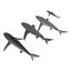 Sharks Collection 6