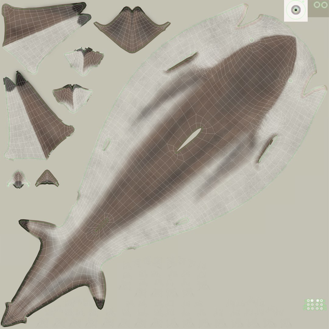 3d model sharks 6 https://p.turbosquid.com/ts-thumb/MQ/PKk83U/8TR1djDB/sharkscollection3dmodels083/jpg/1452931270/1920x1080/fit_q87/622e10eb2b36826304bb94835941f6a8bfb25482/sharkscollection3dmodels083.jpg